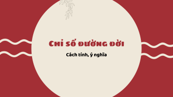 Chỉ số đường đời là gì? Cách tính và ý nghĩa của chỉ số đường đời