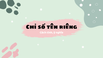 Chỉ số tên riêng trong thần số học