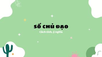 Số chủ đạo: Cách tính và ý nghĩa